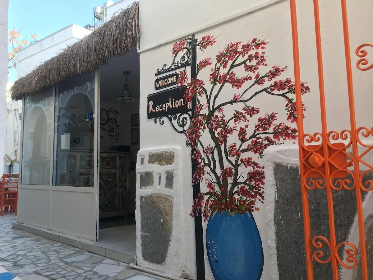 Bodrum Sade Pension Turkey