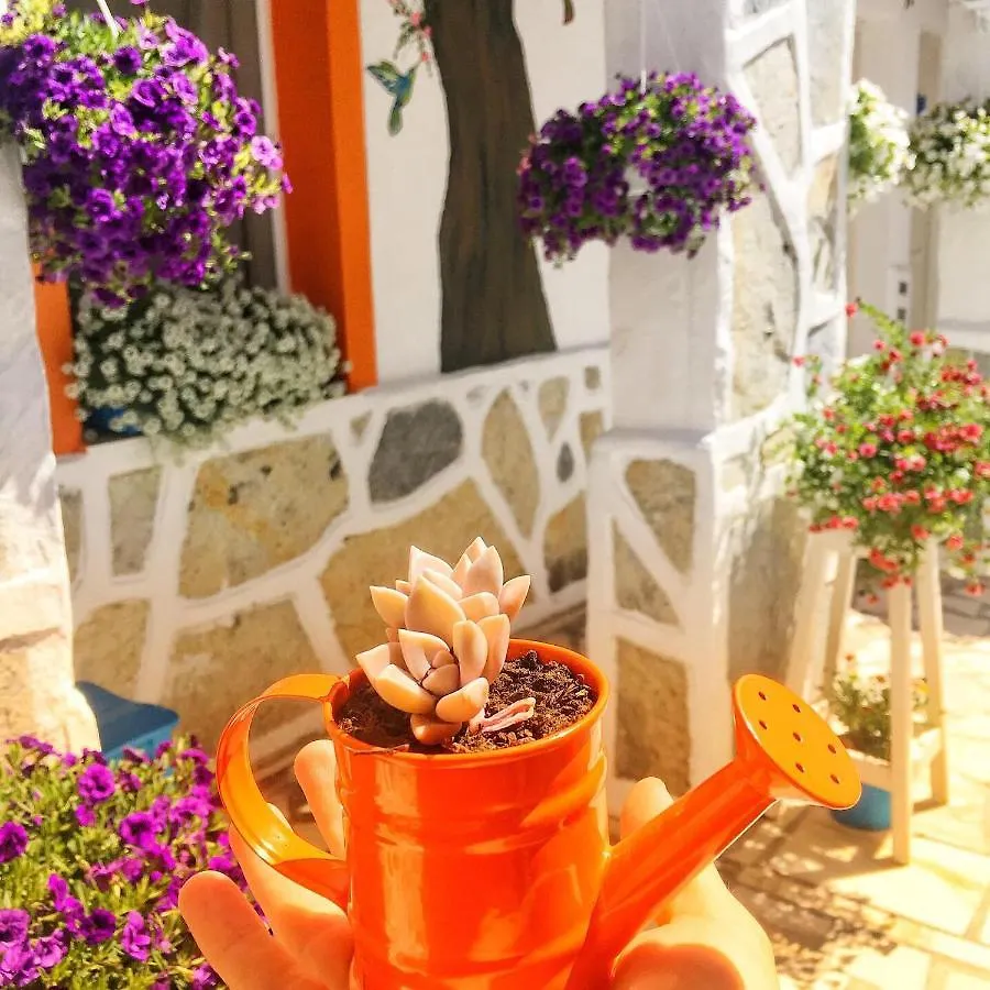 Bodrum Sade Pension Hotel