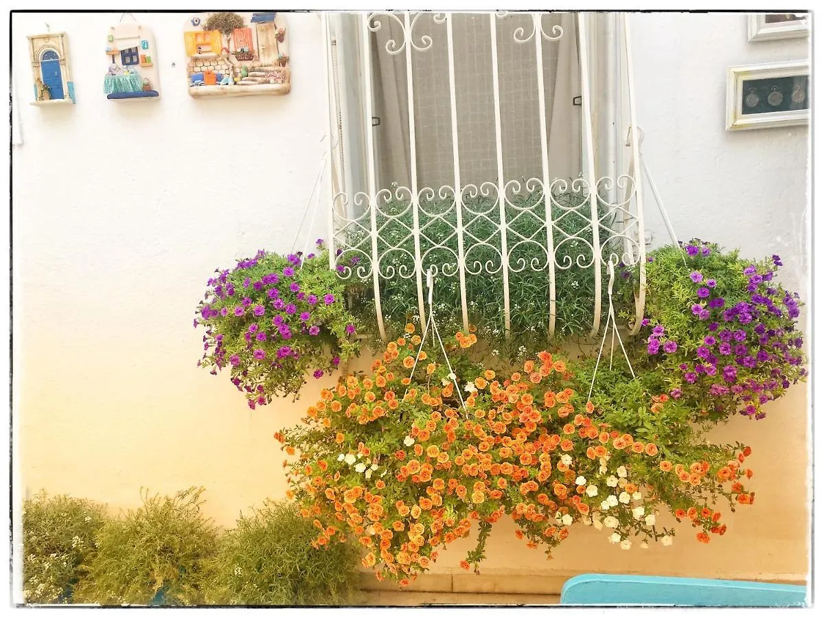 Szálloda Bodrum Sade Pension Törökország