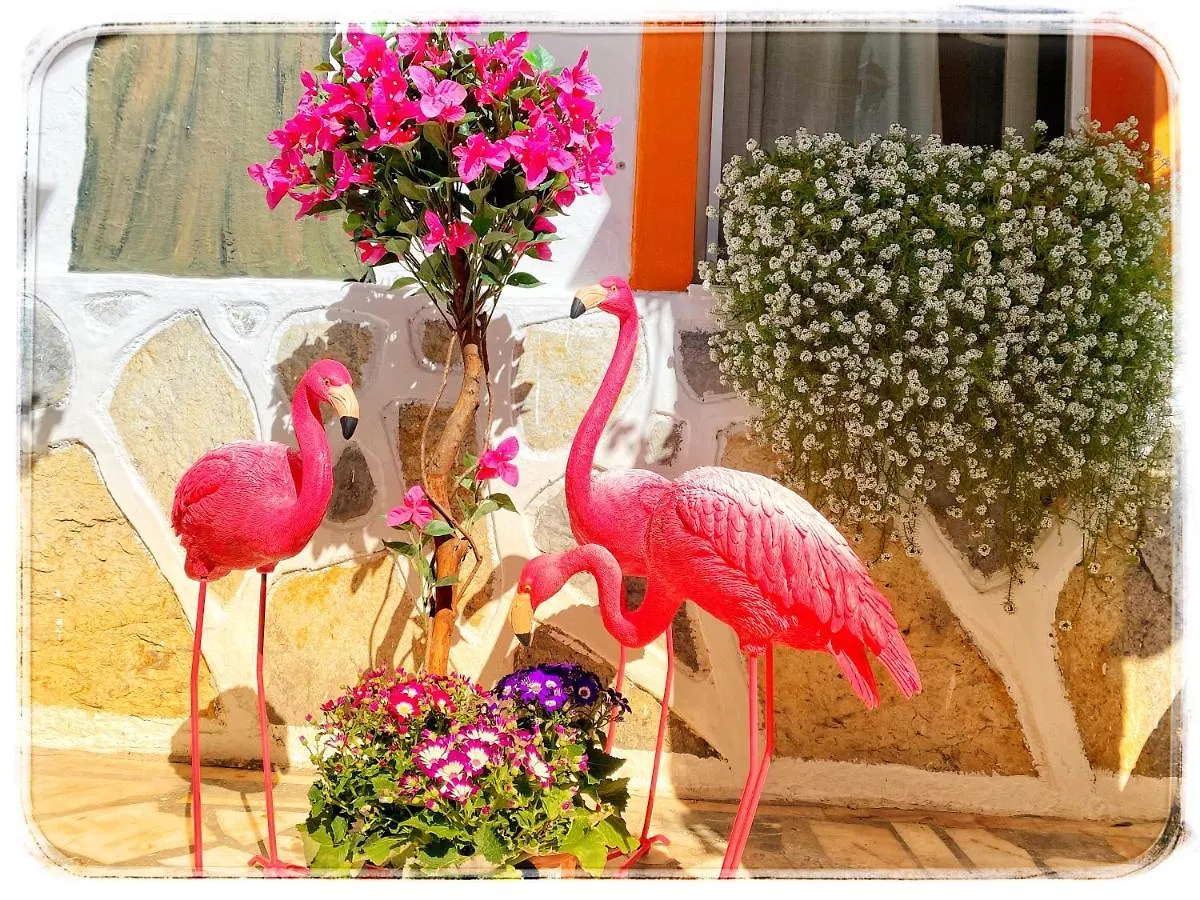 Bodrum Sade Pension Szálloda