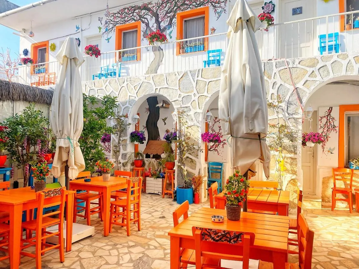 Bodrum Sade Pension 0*,  Törökország